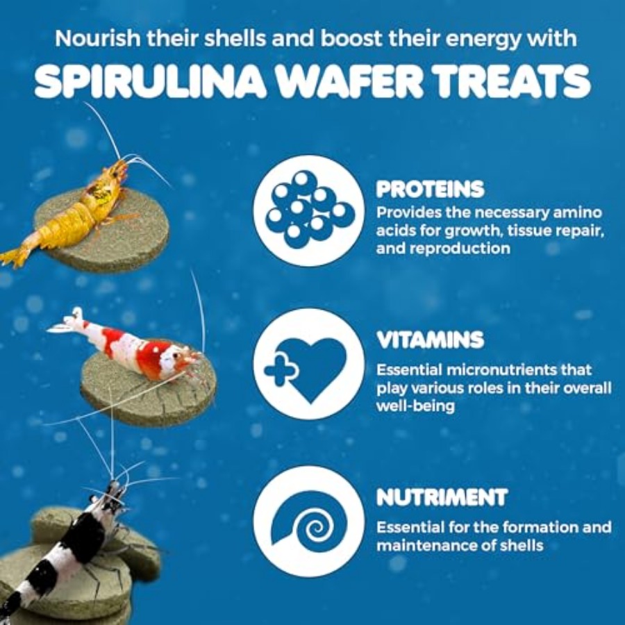 Spirulina Protein Wafers for S - Food Snacks With High Protein 评论和价格