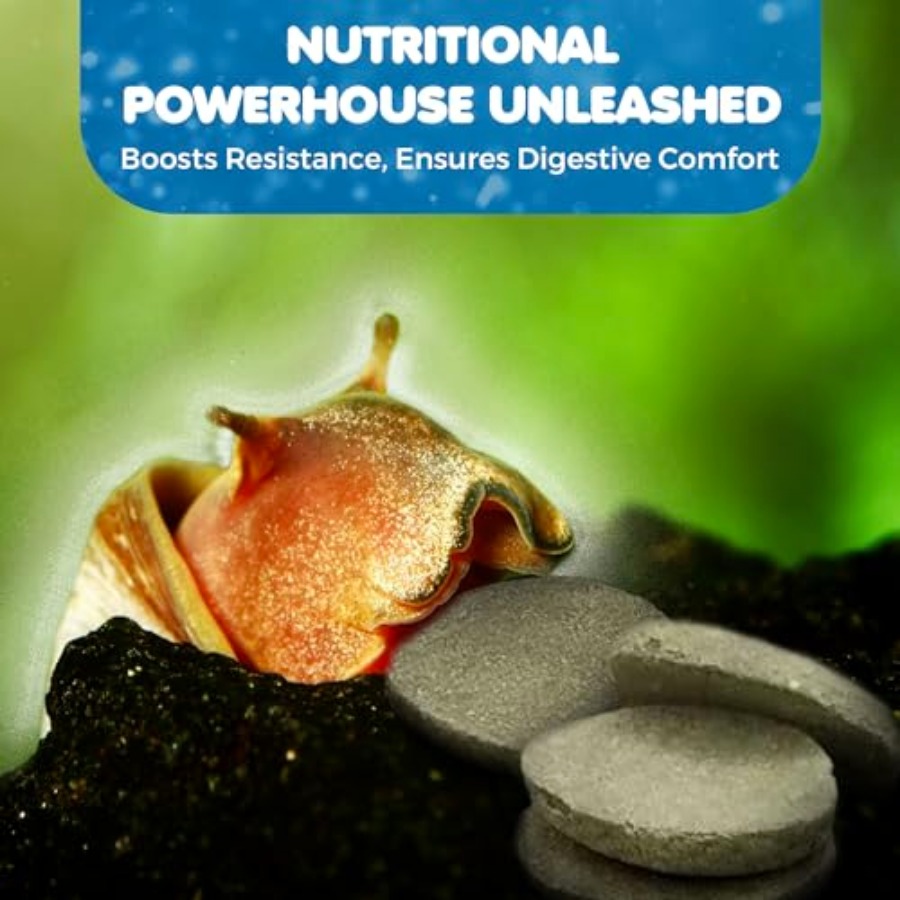 Spirulina Protein Wafers for S - Food Snacks With High Protein 评论和价格