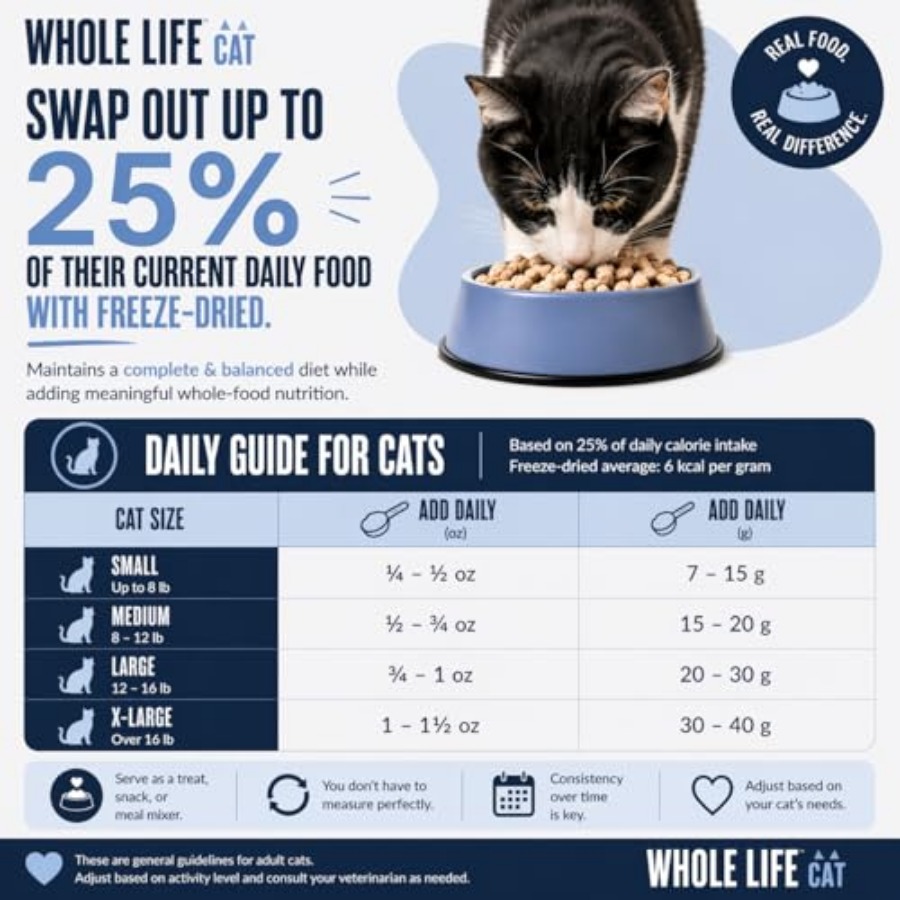 Whole Life Cat Just One Shrimp - Food Snacks With High Protein 评论和价格